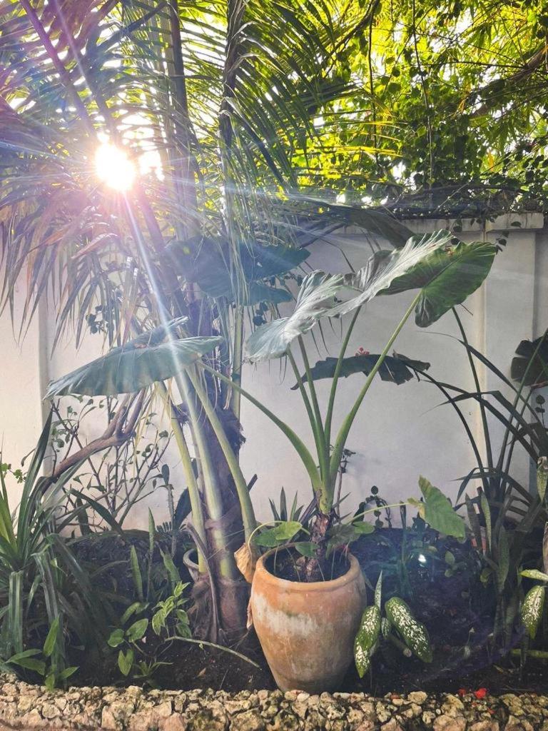 Nakupenda Paje Villa Dış mekan fotoğraf